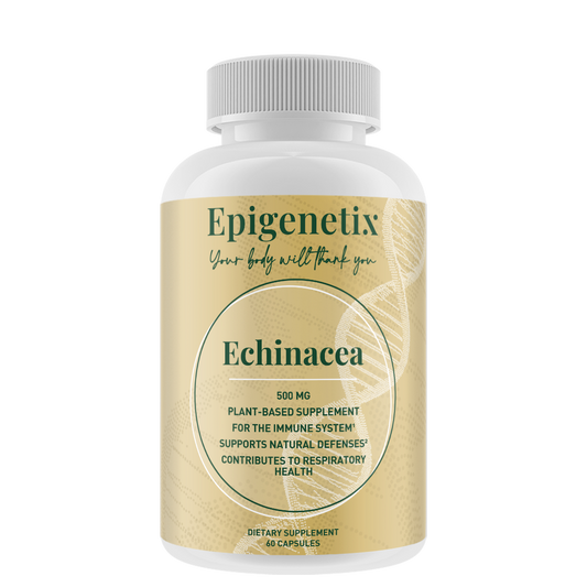 Echinacea 500 mg